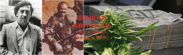 PSILOCYBIN Арсеньев