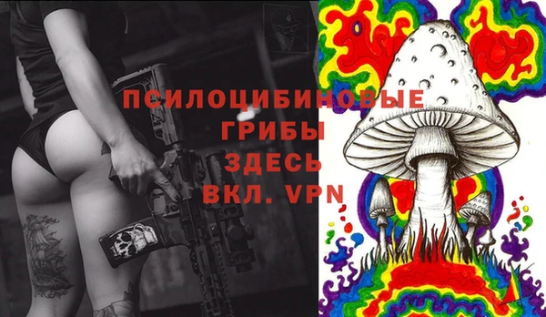 PSILOCYBIN Арсеньев