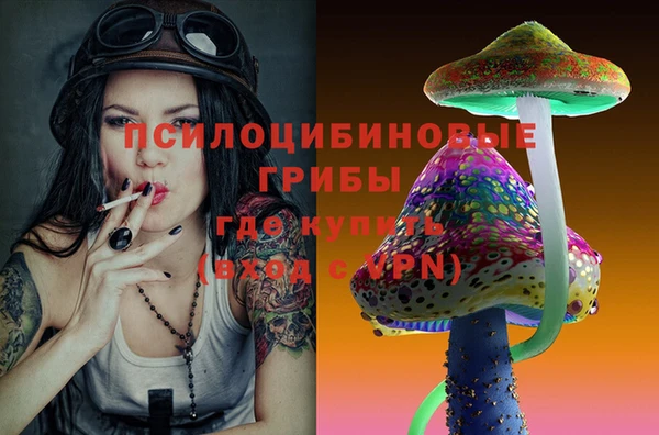 PSILOCYBIN Арсеньев
