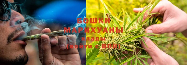 PSILOCYBIN Арсеньев