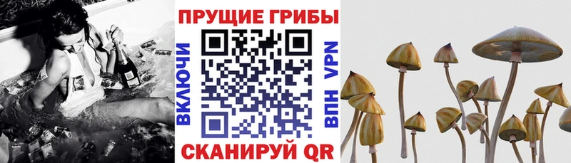 ОМГ ОМГ ссылка  Облучье  Псилоцибиновые грибы MAGIC MUSHROOMS 